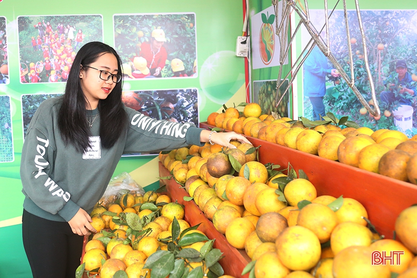 Lễ hội năm nay, có 100 gian hàng trưng bày Cam và các sản phẩm nông nghiệp của Hà Tĩnh